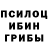 Псилоцибиновые грибы мухоморы {Rays}