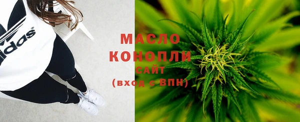 гидра Майский