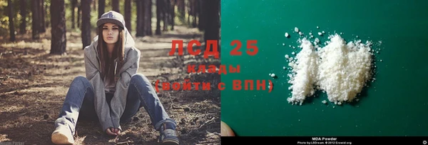 ECSTASY Липки