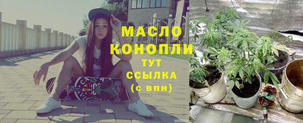 гидра Майский