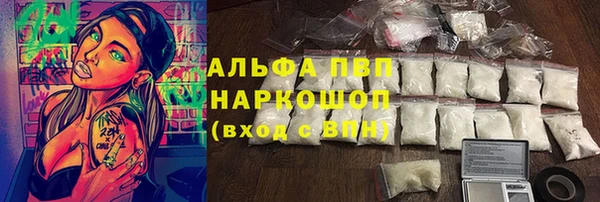 ECSTASY Липки