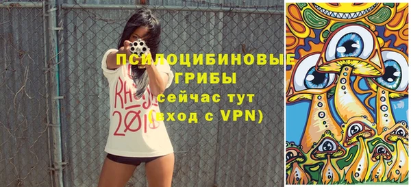 ECSTASY Липки