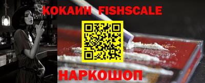 индика Гатчина