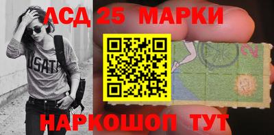 индика Гатчина