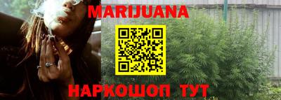 индика Гатчина