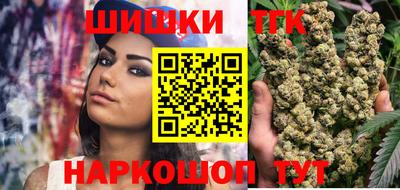 индика Гатчина