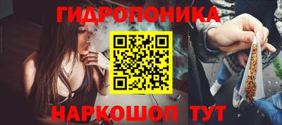 гидропоника Будённовск