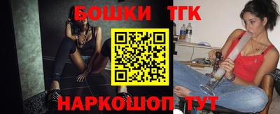 индика Гатчина