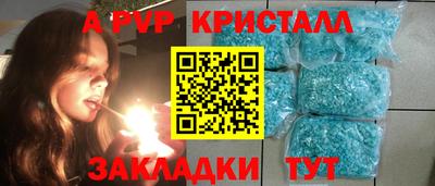 индика Гатчина