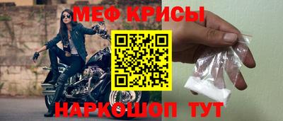 индика Гатчина