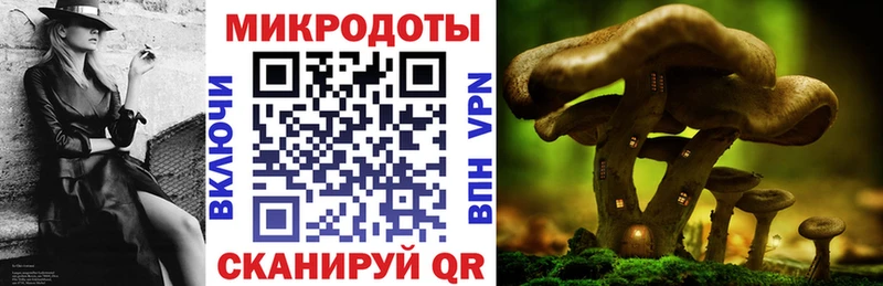 Галлюциногенные грибы GOLDEN TEACHER  купить наркотик  Каменка 