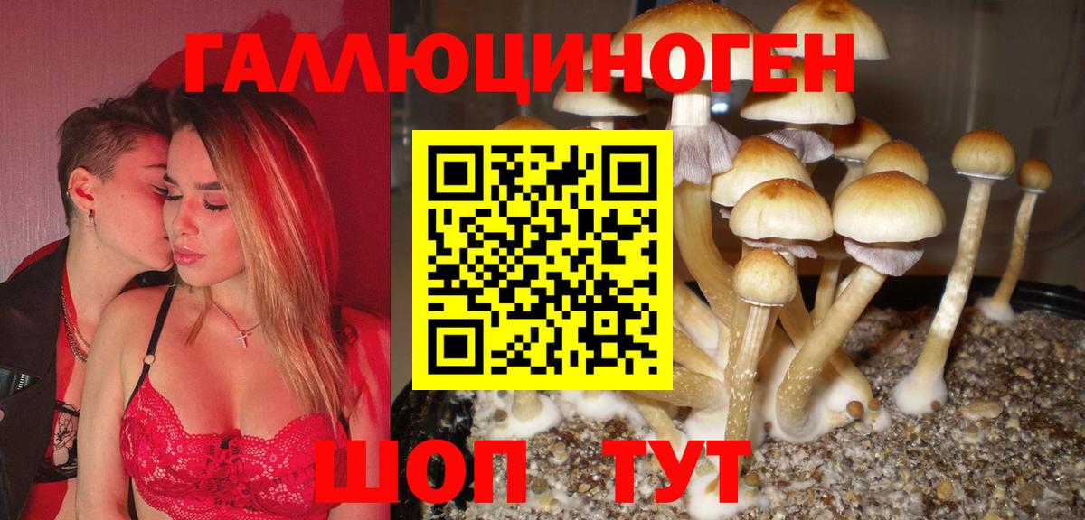 Галлюциногенные грибы мухоморы  Псилоцибиновые грибы Magic Shrooms  наркотики  Каменка 