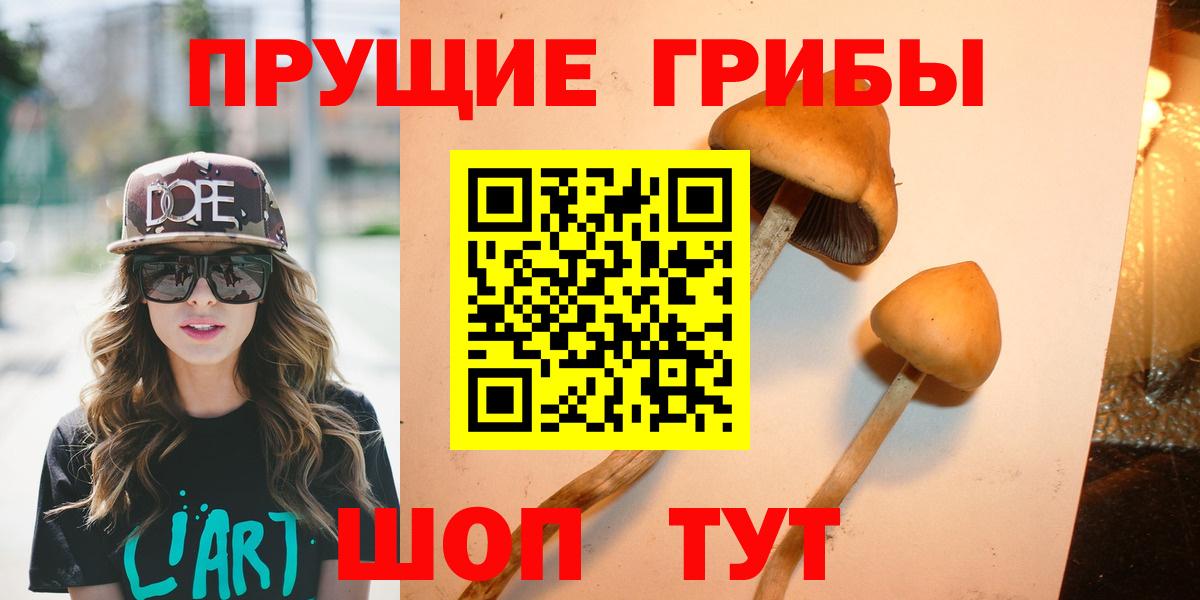 Галлюциногенные грибы ЛСД  Вход с VPN  Каменка 