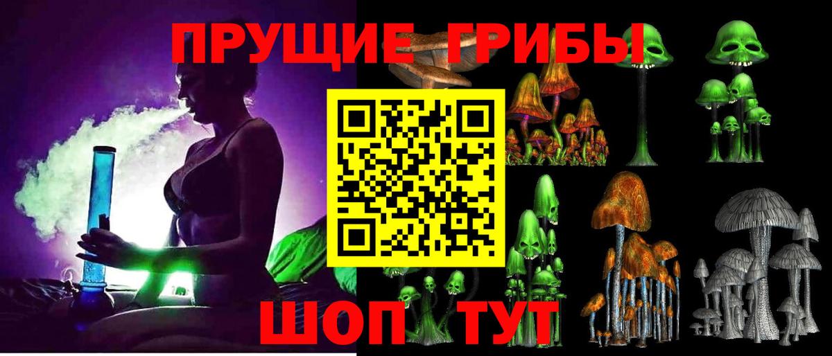 Псилоцибиновые грибы Magic Shrooms Каменка