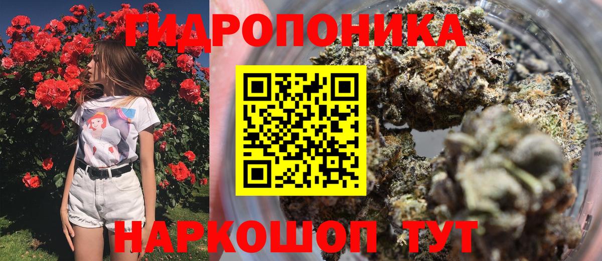 Канабис ГИДРОПОН Каменка